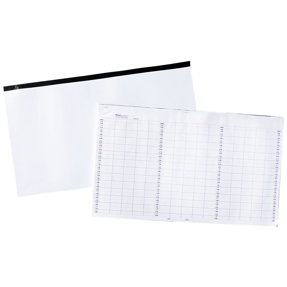 Cameo 100 Page Appointment Pads