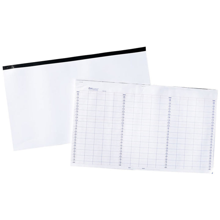 Cameo 100 Page Appointment Pads